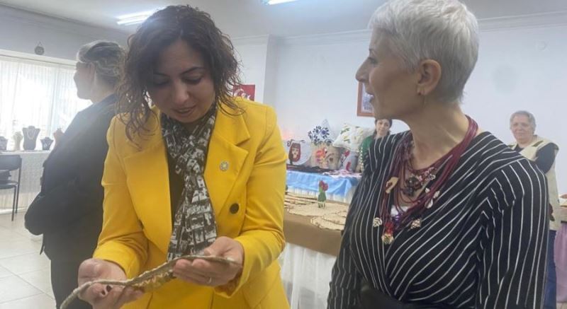 Efe; Kul hakkına göz diken zihniyeti kınıyoruz