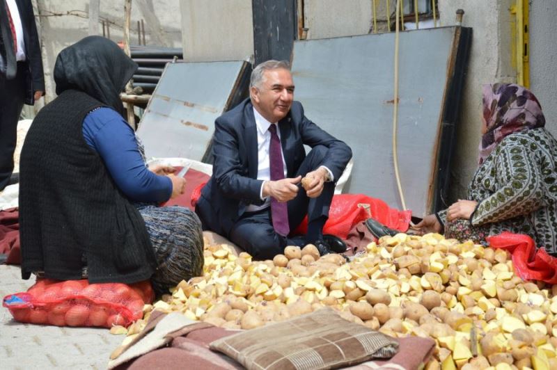 Bir oy Meral’e bir oy Kemal’e, Mustafa Enis Arabacı Meclise